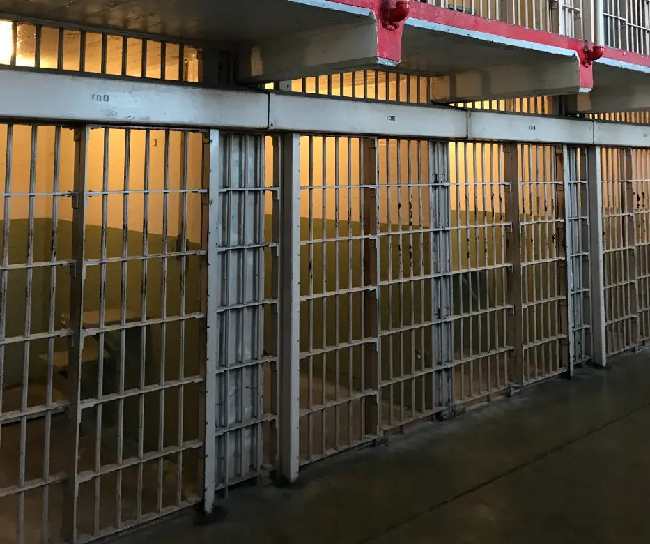 The Stanford Prison Experiment & The Bastards of Criminal Justice & Injustice